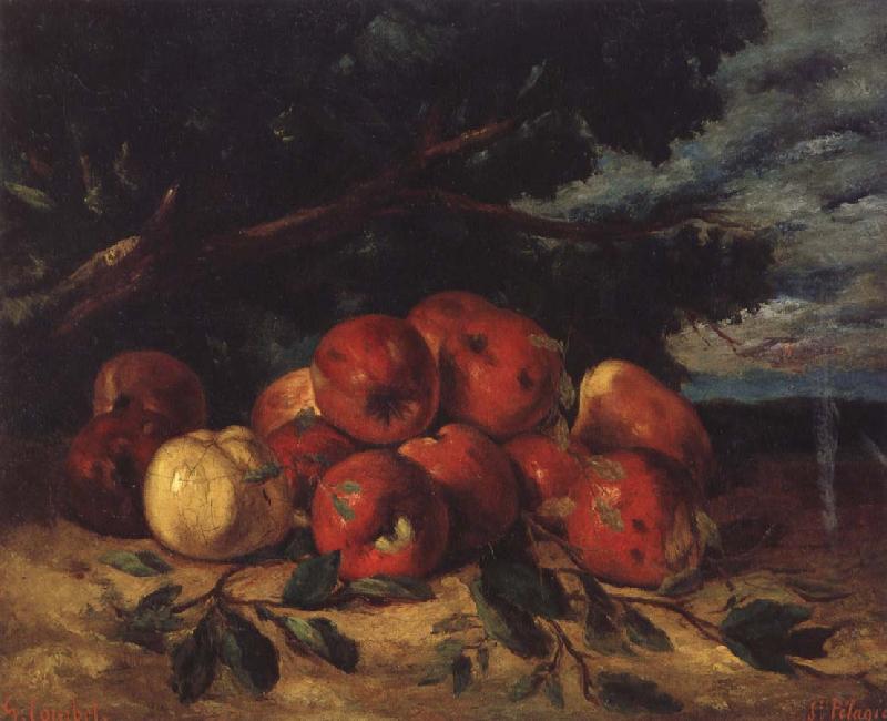 Gustave Courbet Red apples at the Foot of a Tree oil painting image